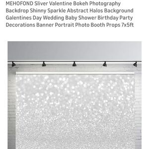 Silver Sparkle Photography Backdrop